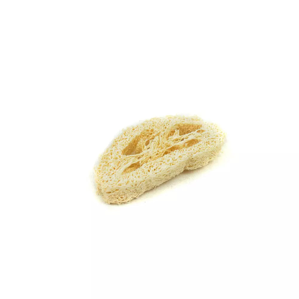 Luffascheibe